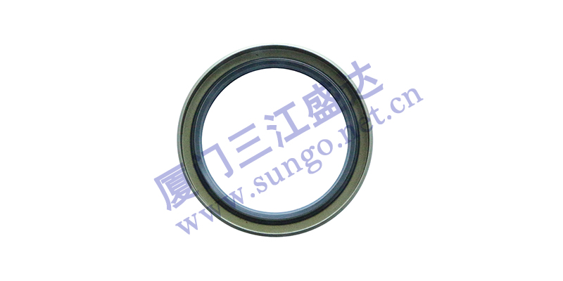 影響油封正常運(yùn)轉(zhuǎn)的因素有哪些？